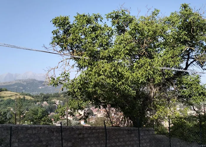 Apartament Belvedere *